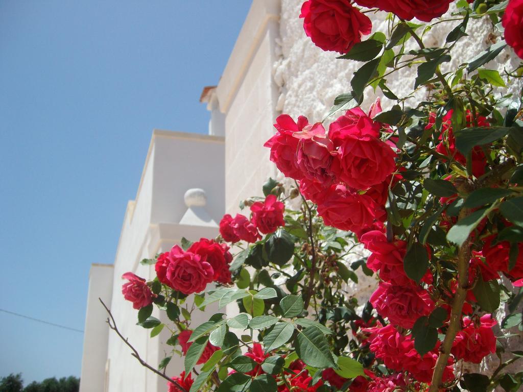 San Marzano di San Giuseppe Masseria Nuova旅馆 外观 照片