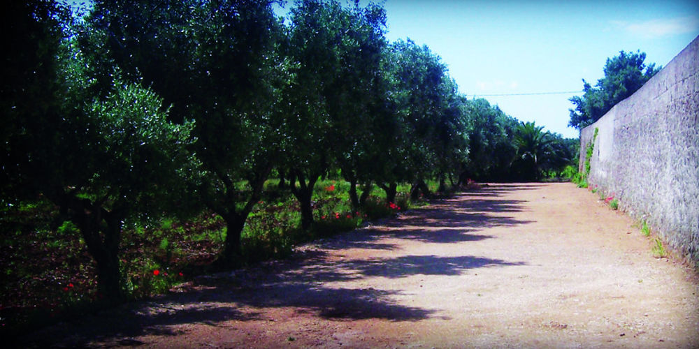 San Marzano di San Giuseppe Masseria Nuova旅馆 外观 照片